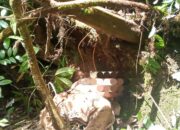 Pria Mengamuk Bawa Senjata Tajam Berakhir Tewas Dikeroyok Warga