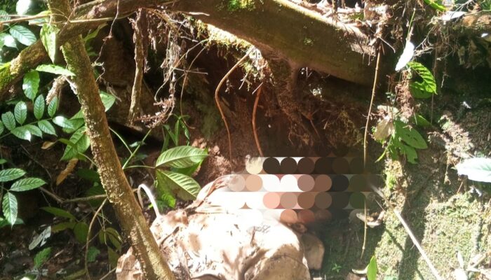 Pria Mengamuk Bawa Senjata Tajam Berakhir Tewas Dikeroyok Warga