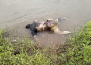 Penemuan Mayat di Sungai Katingan, Polisi Lakukan Penyelidikan