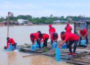 DPC PDIP Katingan Lepas Ribuan Benih Ikan untuk Tingkatkan Populasi Perairan Darat