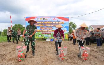 Penanaman Jagung Serentak Jadi Langkah Nyata Polres Katingan
