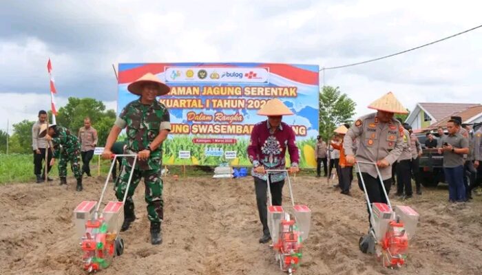 Penanaman Jagung Serentak Jadi Langkah Nyata Polres Katingan