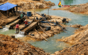 Bupati Saiful Gerak Cepat Tindaklanjuti Aspirasi Tambang Rakyat