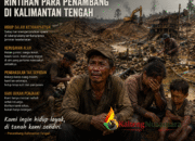 Rintihan Penambang di Kalimantan Tengah: Di Antara Perut Keluarga dan Ketidakpastian Regulasi